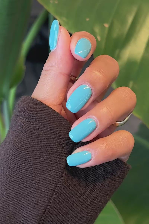 Bermuda · 533