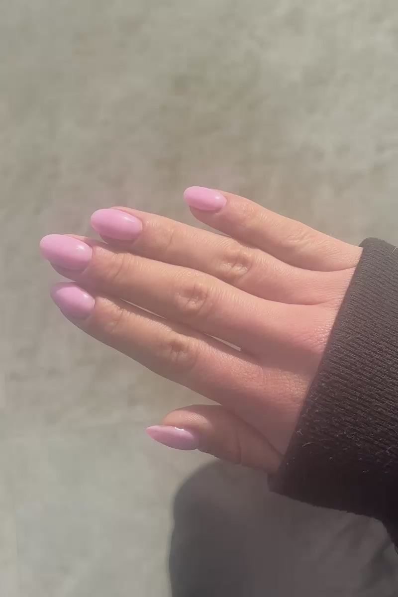 Candyfloss · 431