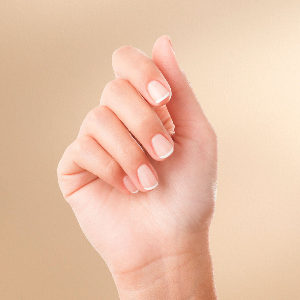 Nageltheorie - De anatomie van de nagel