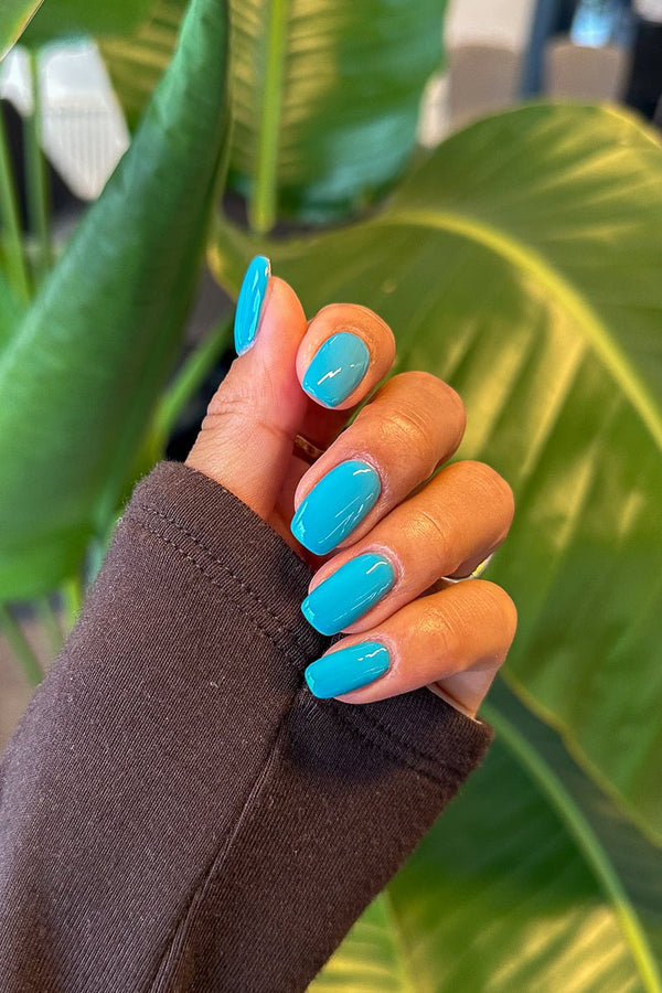 Bermuda · 533 | Nailster Denmark