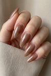 Brown Trace · 526