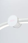 Curve LED Table Lamp