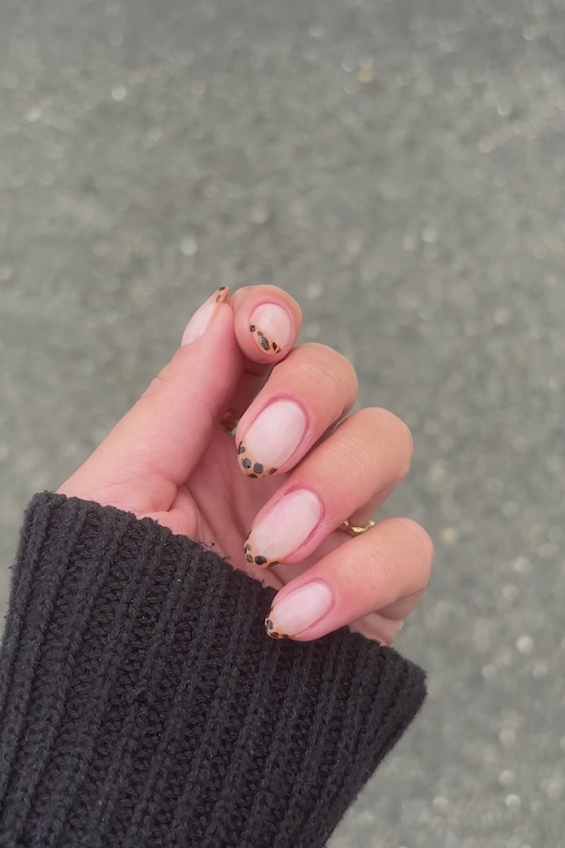 Leopard French