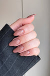 Light Chocolate · 254