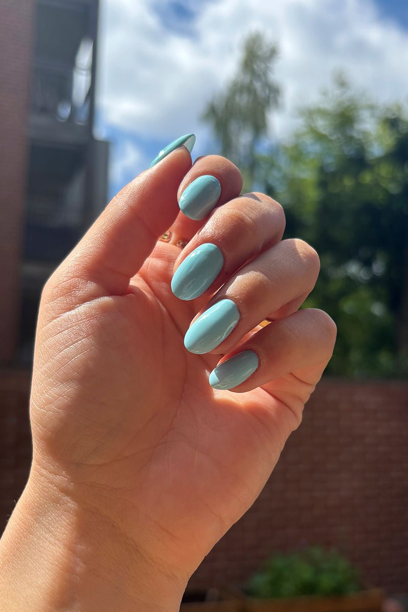 Pale Aqua  · 411