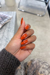 Pumpkin Spiece · 505