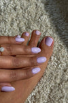Purple Dragon · 255